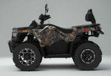 Predator 300cc ATV - Full Size EFI - Automatic Transmission - 4WD