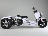 MADDOG Trike Scooter 150cc Automatic | IceBear | PST150-19N
