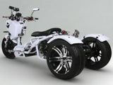 MADDOG Trike Scooter 150cc Automatic | IceBear | PST150-19N