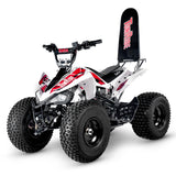 TomRide Electric ATV Quad VTT 1000 Watts 60 Volts TR290 Red White