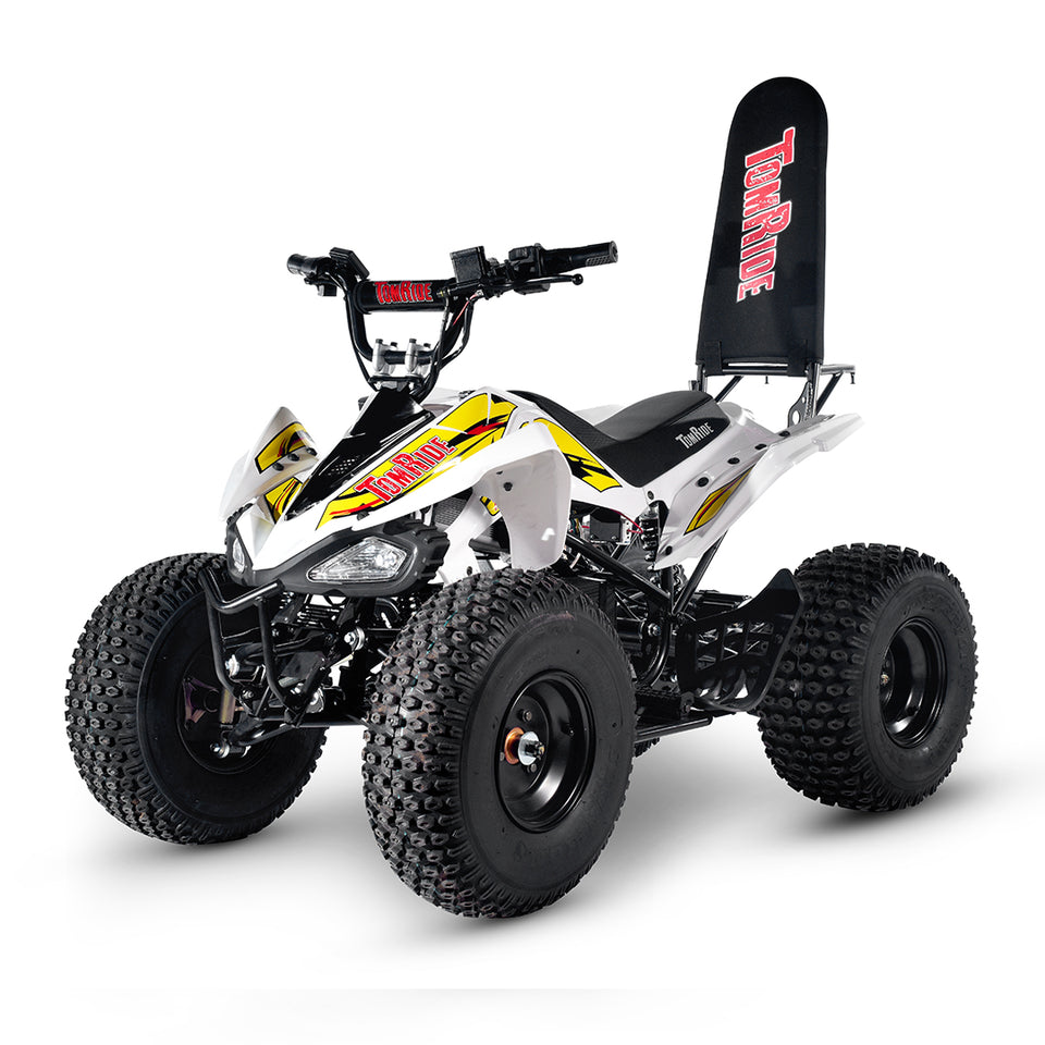 TomRide Electric ATV Quad VTT 1000 Watts 60 Volts TR290