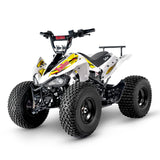 TomRide Electric ATV Quad VTT 1000 Watts 60 Volts TR290