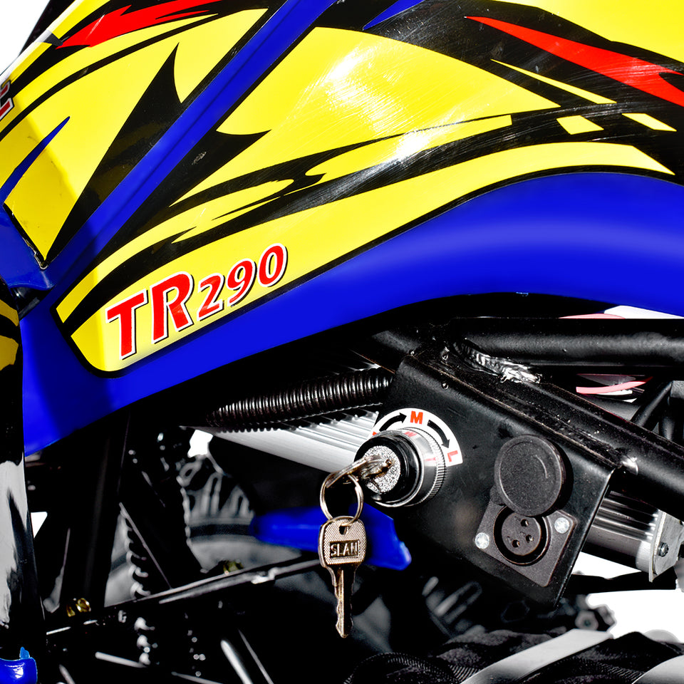 TomRide Electric ATV Quad VTT 1000 Watts 60 Volts TR290