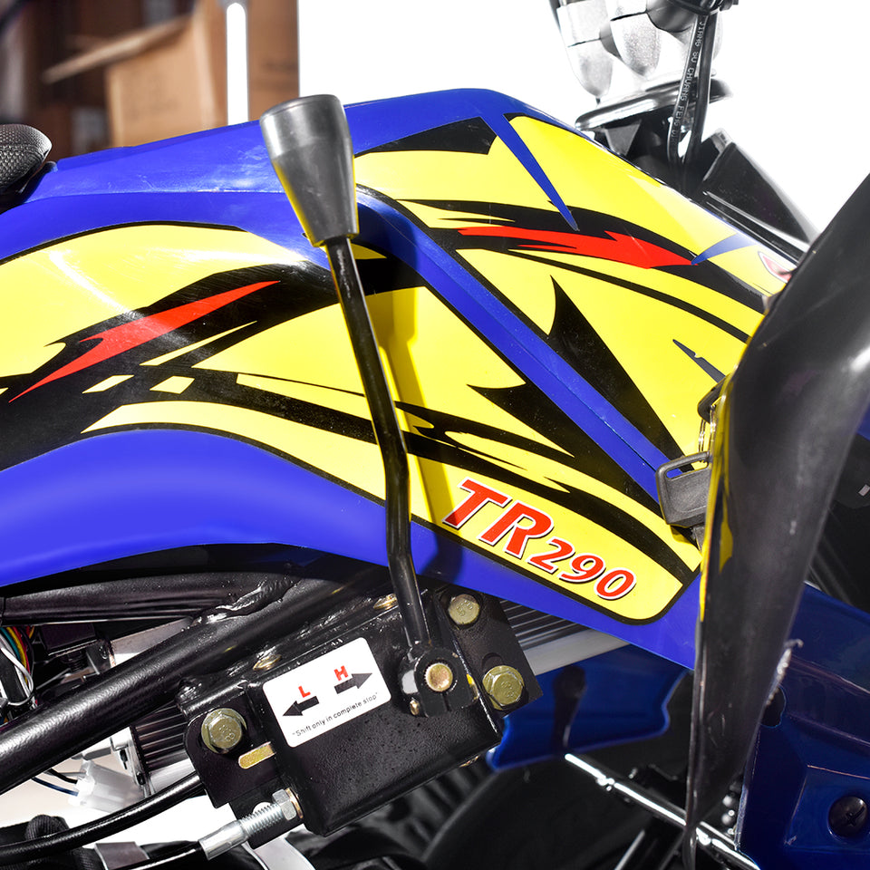 TomRide Electric ATV Quad VTT 1000 Watts 60 Volts TR290