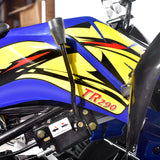 TomRide Electric ATV Quad VTT 1000 Watts 60 Volts TR290