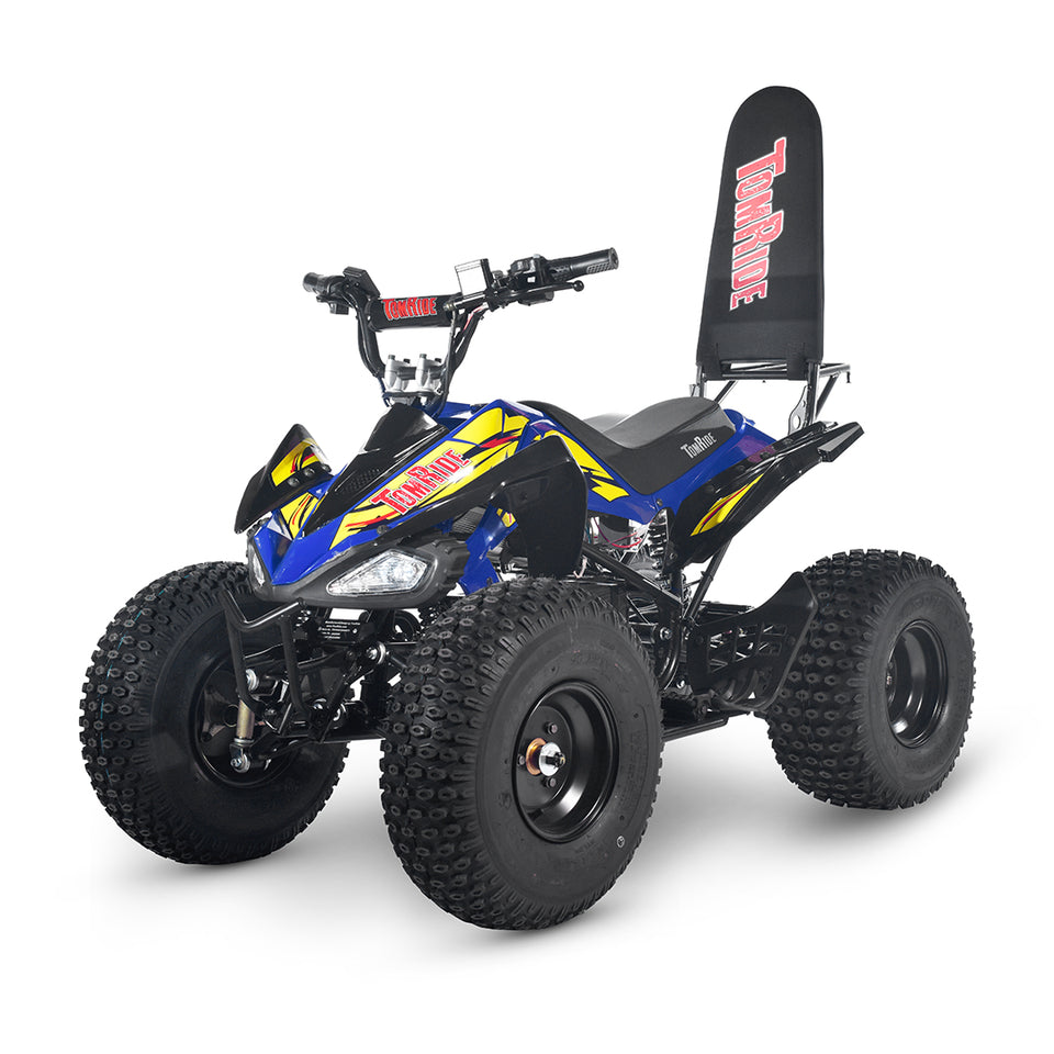 TomRide Electric ATV Quad VTT 1000 Watts 60 Volts TR290 Blue Yellow