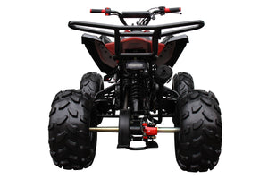 teen 125cc automatic 4 wheeler ATV-3125CX-2