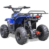 Mototec Rex 110cc ATV 