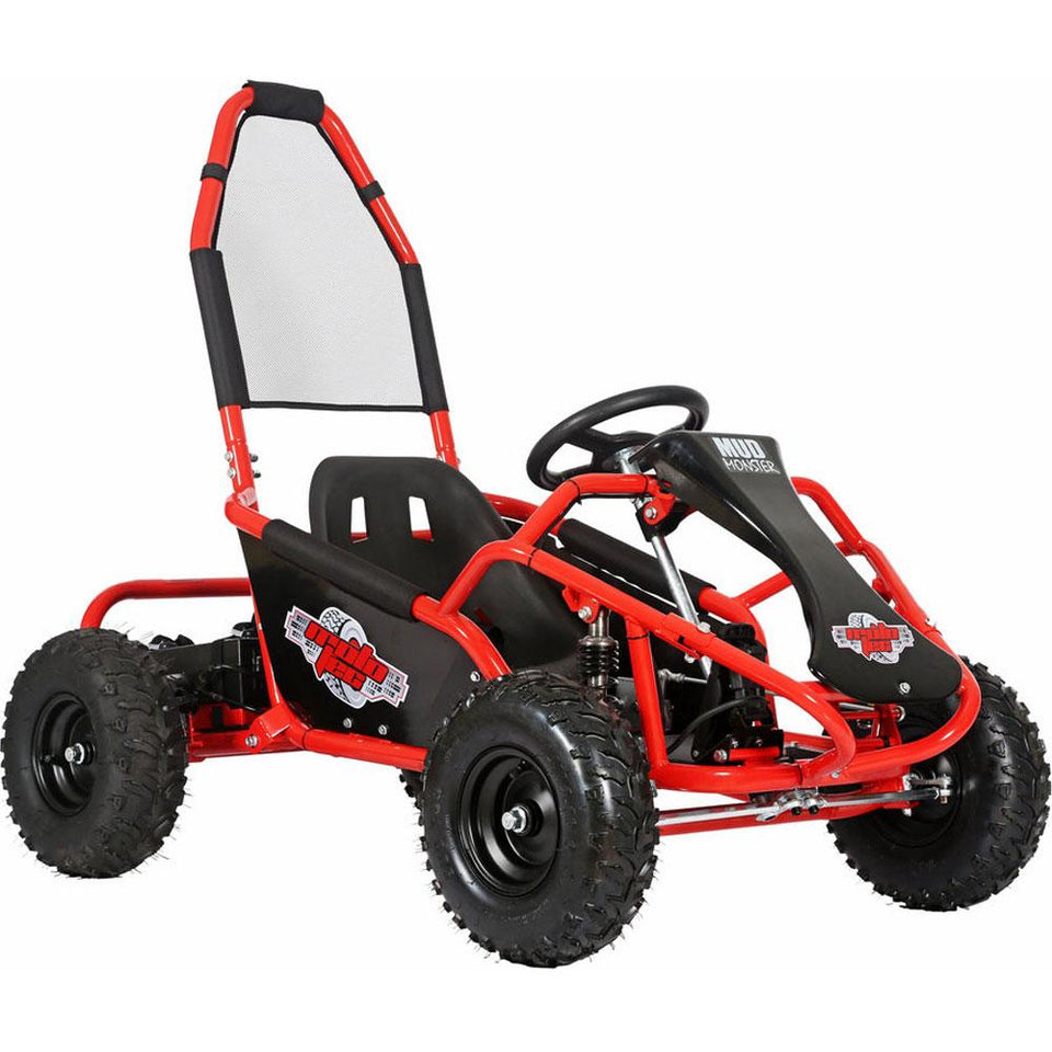 kids go kart 48v dune buggy for sale