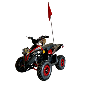 Mototec E-Bully Electric ATV | 1000W | 36V | Kids Battery 4-Wheeler
