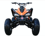 Raptor 150cc Adult Sport ATV | Coolster Full Size | ATV-3150CXC