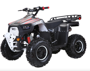 Coolster Lander 125cc ATV | Fully Automatic + Reverse | XD-125UF