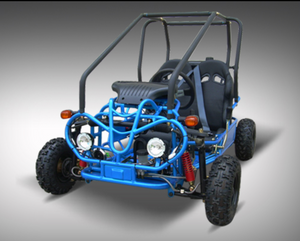 Buy Blue Kandi Raptor 125cc Go Kart - KD-125FM5-E