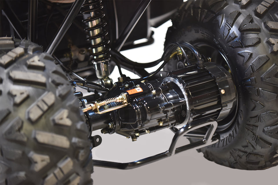 TomRide Electric ATV Quad VTT 1000 Watts 60 Volts TR290