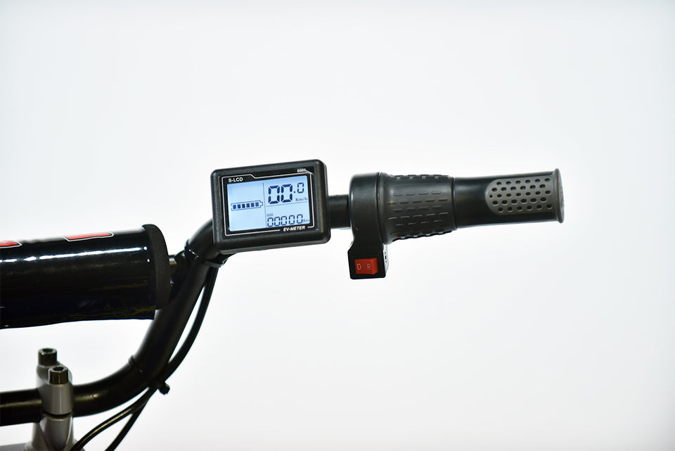 TomRide Electric ATV Quad VTT 1000 Watts 60 Volts TR290