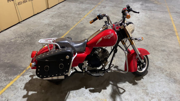 Harley for Kids