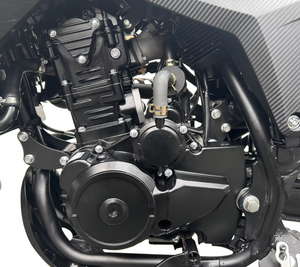 RPS Cross-Country 300 EFI | 4-stroke | 5-Speed Manual Transmission