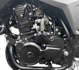 RPS Cross-Country 300 EFI | 4-stroke | 5-Speed Manual Transmission