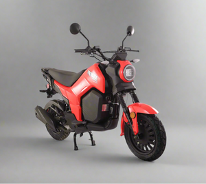 Menace 50cc Automatic Scooter | PMZ50-Z1