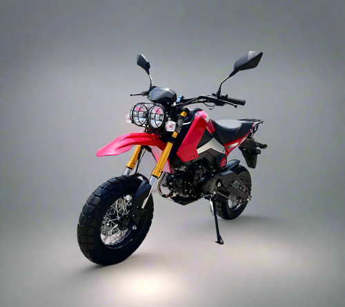 Rogue 125cc ADV 4-Speed Motorcycle | PMZ125-1EN Red