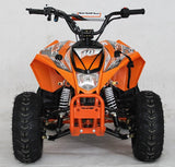 EGL Mini Madix ATV - 110cc + Reverse