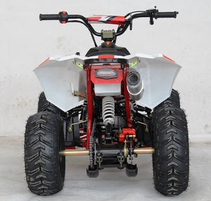 EGL Mini Madix ATV - 110cc + Reverse