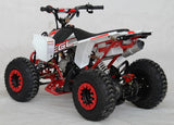 EGL Mini Madix ATV - 110cc + Reverse
