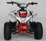 EGL Mini Madix ATV - 110cc + Reverse