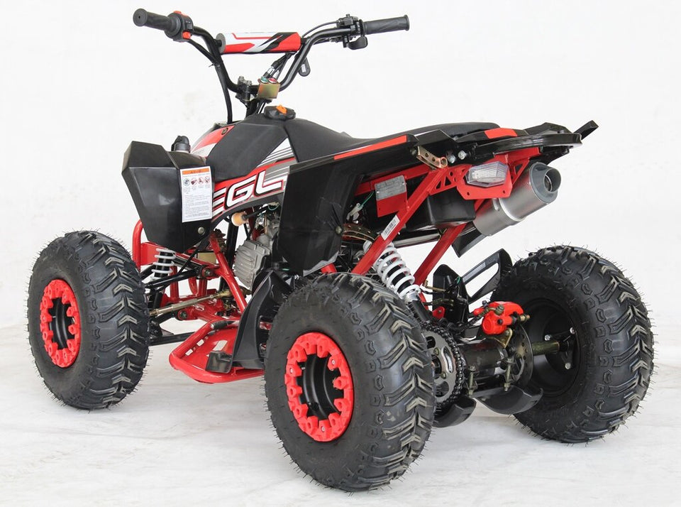 EGL Mini Madix ATV - 110cc + Reverse