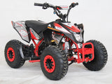 EGL Mini Madix ATV - 110cc + Reverse