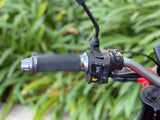 Icebear Mini Max 150cc Motorcycle | Fully Automatic | PMZ150-M1