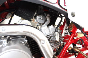 EGL 125cc Racing Madix ATV | Automatic + Reverse