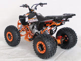 EGL 125cc Racing Madix ATV | Automatic + Reverse