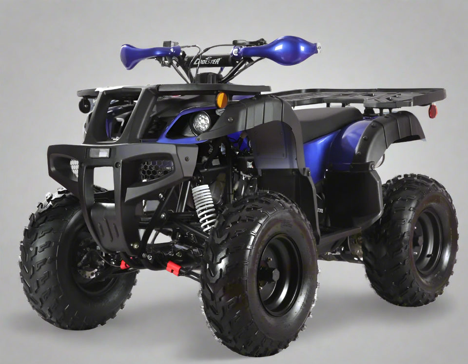 Coolster 200cc Adult ATV Full Size 200cc Tao CRT200 1 ATV 56L 200 Full Size ATV Belmonte Bikes