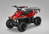 Coolster Moccasin 110cc ATV-3050C