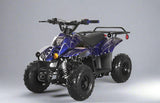 Coolster Moccasin 110cc ATV-3050C