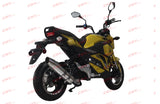 Mini Max 50cc | Automatic Motorcycle | Street Legal
