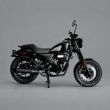 Ghost Cruiser 250cc Chopper | DF250RTB-20