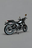 Ghost Cruiser 250cc Chopper | DF250RTB-20