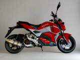 Icebear Mini Max 150cc Motorcycle | Fully Automatic | PMZ150-M1