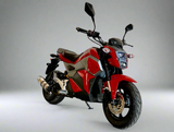 Icebear Mini Max 150cc Motorcycle | Fully Automatic | PMZ150-M1