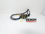 Sportster 250cc Chopper | Stator Magneto (82120-IA27-000160)