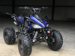 Raptor 125cc Quad Sport ATV - Fully Automatic - ATV-3125CX-2