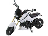IceBear Fuerza 125cc Motorcycle - PMZ125-1