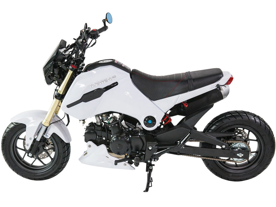 IceBear Fuerza 125cc Motorcycle - PMZ125-1