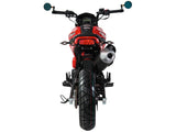 Fuerza 125cc motorcycle. PMZ125-1 red
