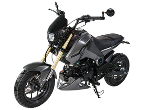IceBear Fuerza 125cc Motorcycle - PMZ125-1