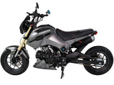 IceBear Fuerza 125cc Motorcycle - PMZ125-1