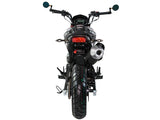 IceBear Fuerza 125cc Motorcycle - PMZ125-1