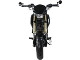 IceBear Fuerza 125cc Motorcycle - PMZ125-1